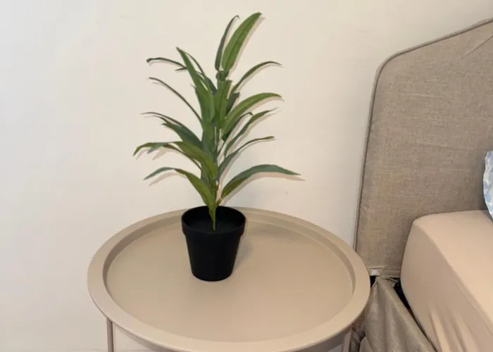 Apartment Land Lord 3-4 Sleeping Near Frankfurt Am Main *